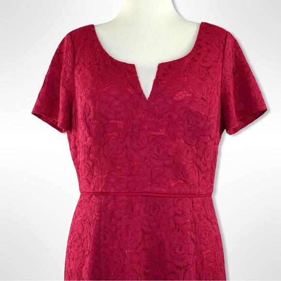 Adrianna Papell Cranberry Red Lace Midi Dress – Size 14 - Picture 5 of 9